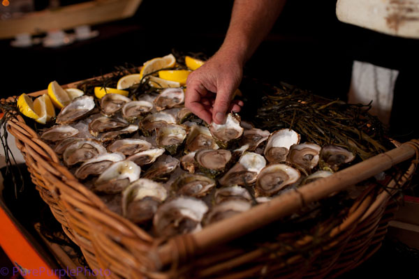 oysters
